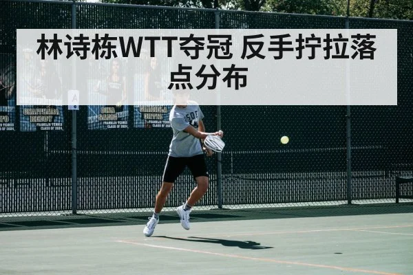 林诗栋WTT夺冠 反手拧拉落点分布 | j9 game